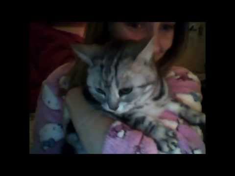 カナダのクリスマス☆ Christmas in CANADA (カナダのクリスマス☆ Christmas in CANADA)