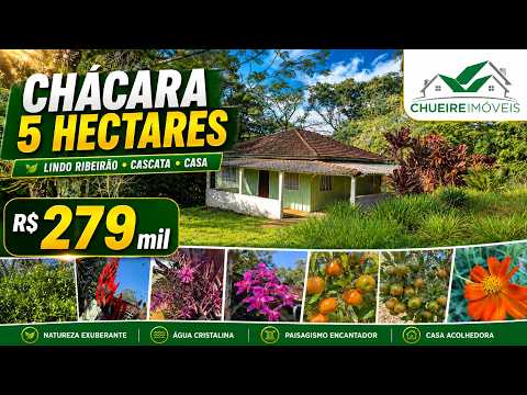 CHÁCARA COMPLETA R$279mil 5 HECTARES - RIBEIRÃO MINA CASA E POMAR