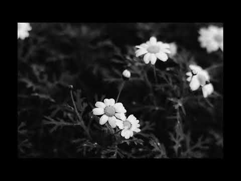 hate that i made you love me (Ariana Grande cover)(Acapella)