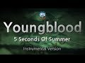 5 Seconds Of Summer-Youngblood (MR/Inst.) (Karaoke Version)