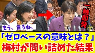 【国会激震】高市総理「ゼロベース」の違和感を梅村みずほが暴く！外国人政策見直しの真意とは？【参政党】