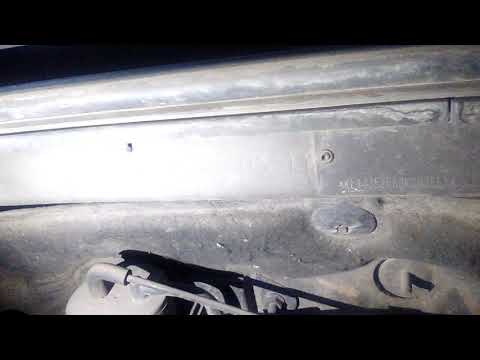 Número de motor y número de chasis