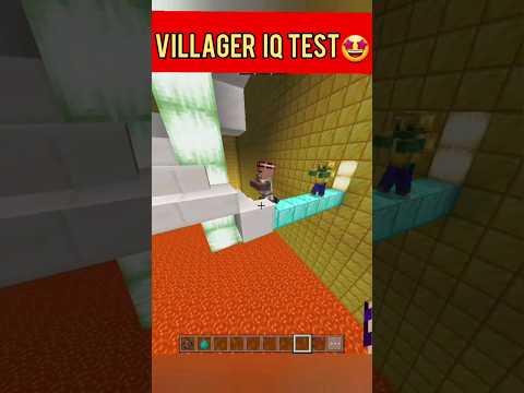 Villager IQ Test in Minecraft! Can You Pass? 🤩