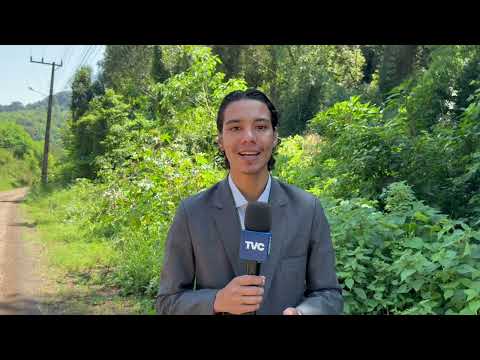 Condição rara e curiosa em Santa Catarina: Um bezerro com 2 cabeças.