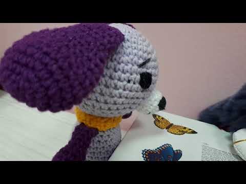 Emisiunea "Ghiceste raspunsul"