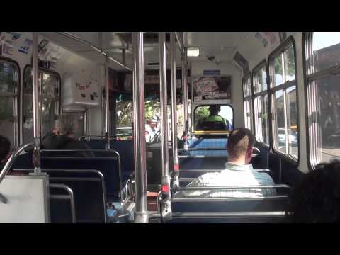 Sydney Buses M/O 2888 - Mercedes Benz O305