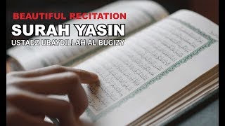 Download lagu Bacaan Menyentuh Hati - Surah Yasin : 1-46 - Ustad Ubaidillah mp3 Download lagu Bacaan Menyentuh Hati - Surah Yasin : 1-46 - Ustad Ubaidillah mp3