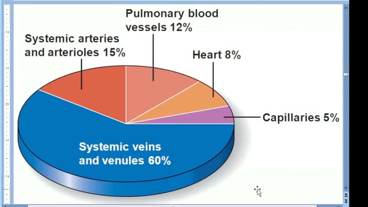 Chapter 19 - Blood Vessels
