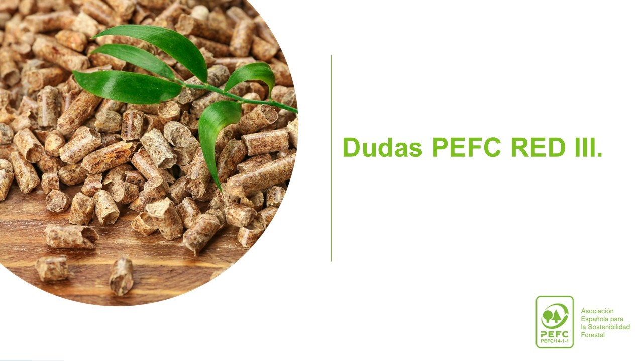 Dudas | WEBINAR PEFC RED III MARZO 2026.