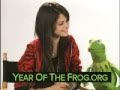 Selena Gomez With Kermit The Frog