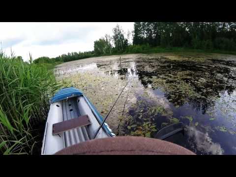 How to get NO fish! Segane unenägu/Confusing dream