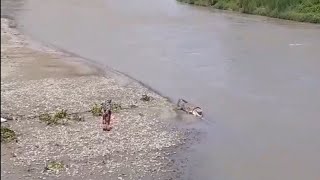 Download lagu Emak-emak di Palu Nekat Mendekati Buaya Yang Terlilit Ban mp3