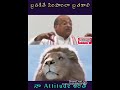Live Like Lion Attitude Status In Telugu Garikapati Narasimhaarao
