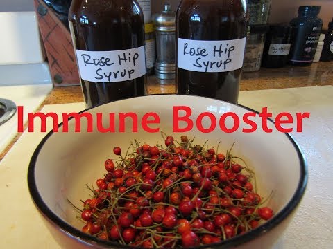 download lagu mp3 mp4 Rosehip Syrup, download lagu Rosehip Syrup gratis, unduh video klip Rosehip Syrup