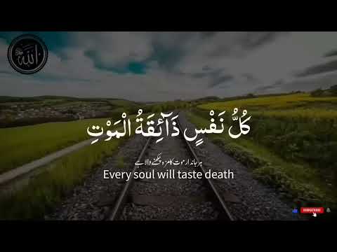 Kullu nafsin zaikatul maut By Abdul Rahman mossad surah ankabo