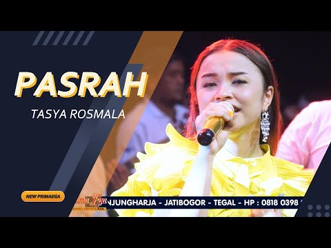 PASRAH - TASYA ROSMALA "NEW PRIMAEGA" || "CORO PUTIH" DK.KALENPANDAN,JATIMAKMUR-SONGGGOM-BREBES
