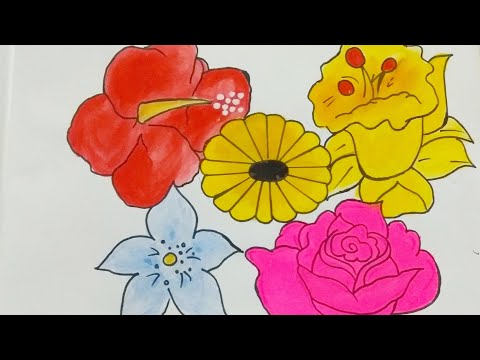 How to draw different types of flowers/Flowers drawing