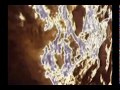 Light in the caves -  (Brian Eno (with Daniel Lanois) - The Secret place & Matta)