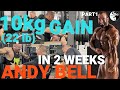 10 kg (22lbs) gain in 2 weeks - Andy Bell challenge