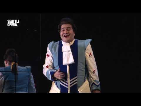 An Example of Rossini's "bel canto" vocal fireworks ['Dolce speranza' excerpt from 2013 CINDERELLA]