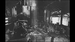 Neil Young - A Rusted Treasure (live 1984-1985)