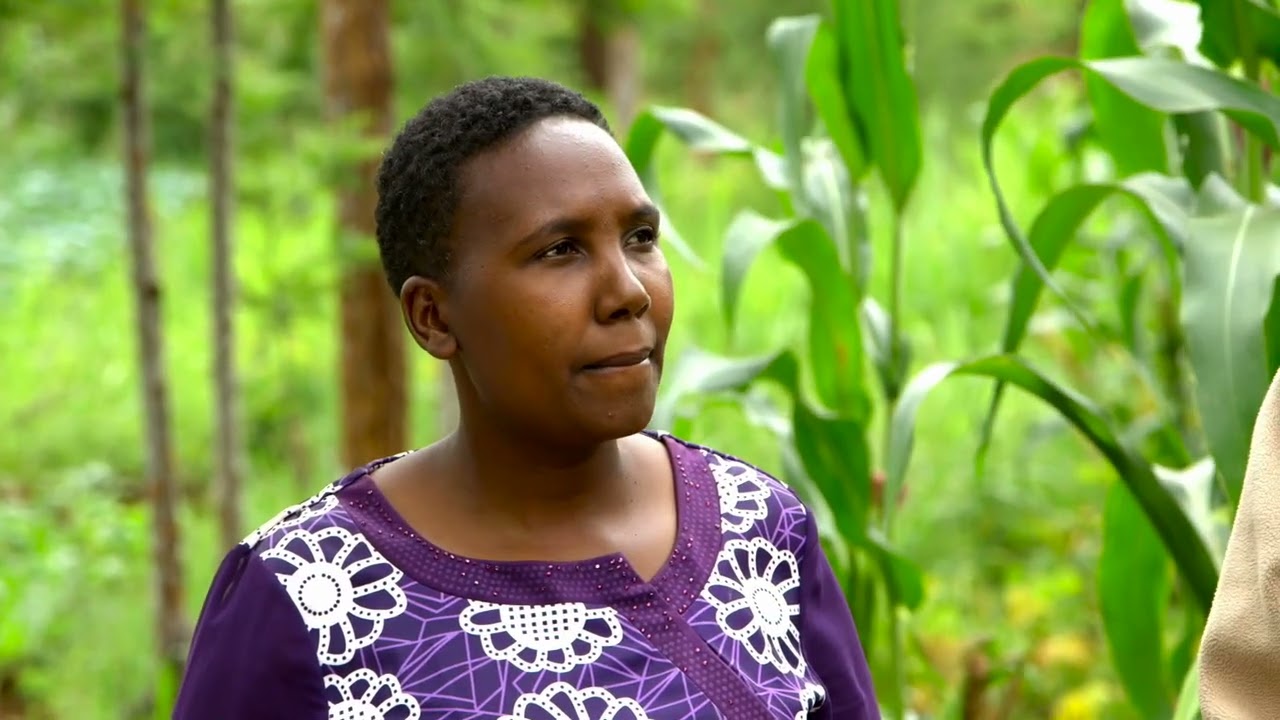 SSU Kenya  Season 13 -  Episode 23  (Farm 19) - Post harvest management (Swa)
