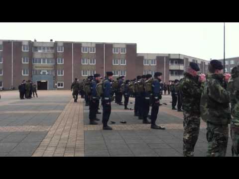 Binnenkomst Dimmie einde volharding 2