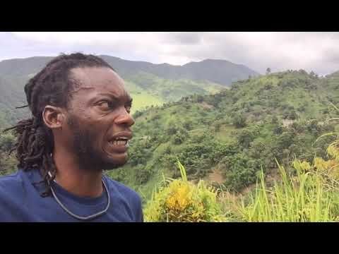 Rasta Culture Trip To Blue Mountain and Visit Rasta Camp