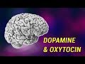 Dopamine & Oxytocin: The Chemicals of Love