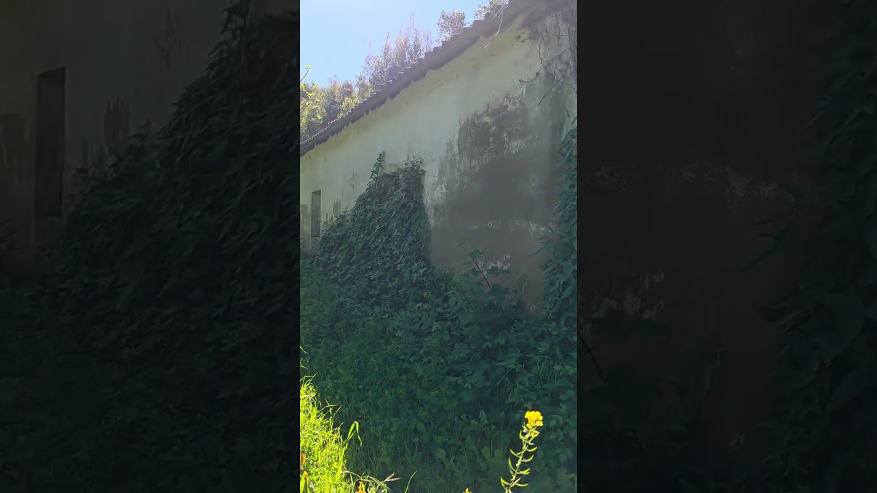 Vídeo do imóvel