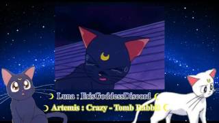 Sailor Moon - Luna and Artemis on the roof [French collab with Crazy - Tomb Rabbit]