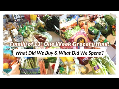 Family of 13 | 1 Week Grocery Haul | Costco | Whole Foods | What Did We Buy & What Did We SPEND???