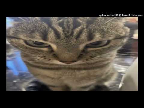 hubithekid + spazma - prezydenci [prod. @alb x @cavz00]