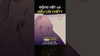Động vật có hiểu cái chết? | TED Ed | Luyện nghe Tiếng Anh song ngữ #shorts #hoctienganh #tienganh