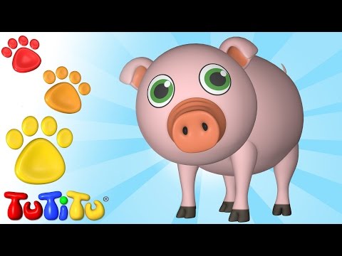 , title : 'Porco E Outros Animais - Aprenda nomes de animais com o TuTiTu'