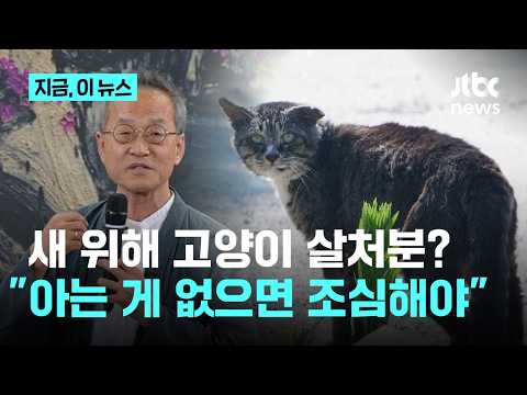 아이콘