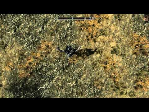 The Edler Scrolls V Skyrim ich kann fliegen oh doch nicht WTF
