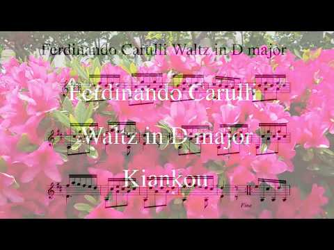 Opus 246 No 9 - Waltz In D Major - Ferdinando Carulli