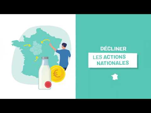 Le Criel - Stratégie de Contenu