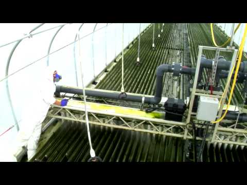 BioProcess Algae Harvest  Sept 2013   YouTube tng5 720p