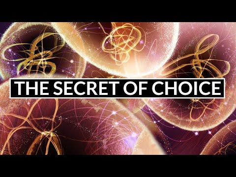 Does The Universe Allow Free Will?