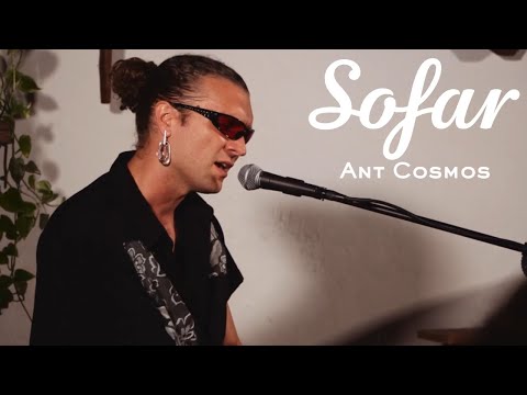 Ant Cosmos - Dos Lágrimas Dos Peces | Sofar Gran Canaria