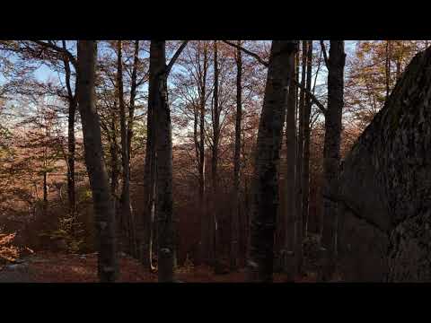 Il suono dei campanacci nell’aria…