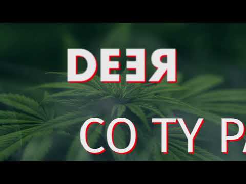 DeeR - Co ty Palisz?