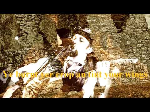 Teufelstanz - The Burning of Auchindoun (OFFICIAL LYRIC VIDEO)