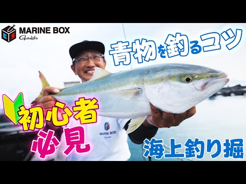 サンマ１本丸呑み⁉🔰初心者必見🔰林流～青物攻略の㊙テク～