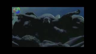 Fields of the Nephilim-Dead to the World