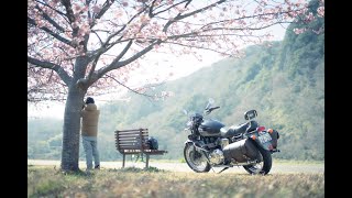 狩野川河津桜河川敷バイクで走ってみた