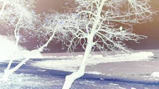 Uriel Herman Quartet: "White Night" album version (awake)