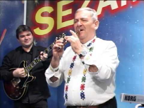 Aca Pandurevic - Kao na svadbi - Sezam Produkcija - (Tv Sezam 2014)